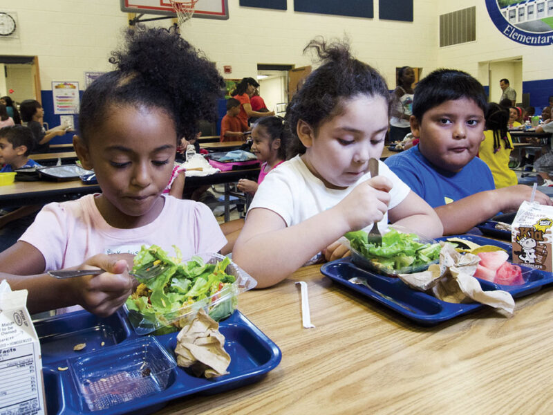 Under AB 1264, recently signed into law by Governor Gavin Newsom, CA became the first state in the nation to ban ultra-processed foods in schools. Ultra-processed foods are defined in the state as any food or beverage that contains thickeners and flavor enhancers, high amounts of saturated fat, sodium, or added sugar, or a nonnutritive sweetener.