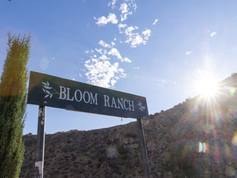 Prescribing Prevention: Doctors Turn to Lifestyle, Herbs and Veggies to Protect Against Chronic Illness in Black Californians